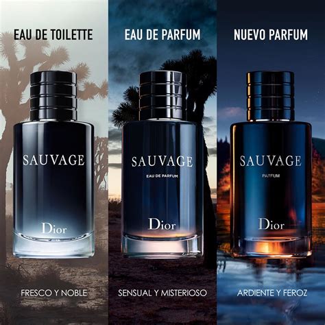 dior sauvage edt edp or perfume|what smells like Dior Sauvage.